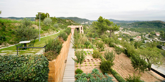 jardin_ecologico_Sant_Cristofol_dataAE_06